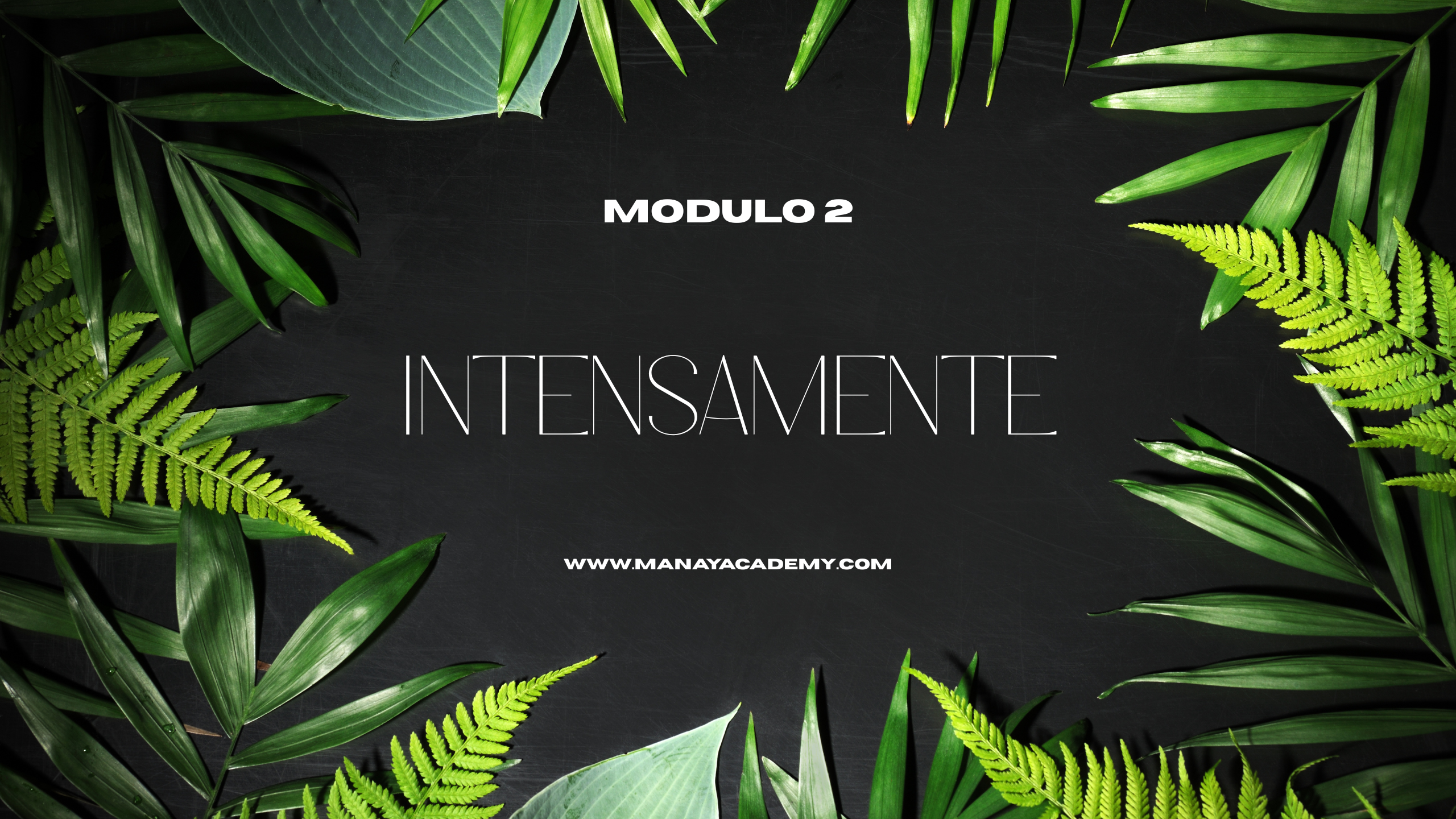 Módulo 2: INTENSAMENTE