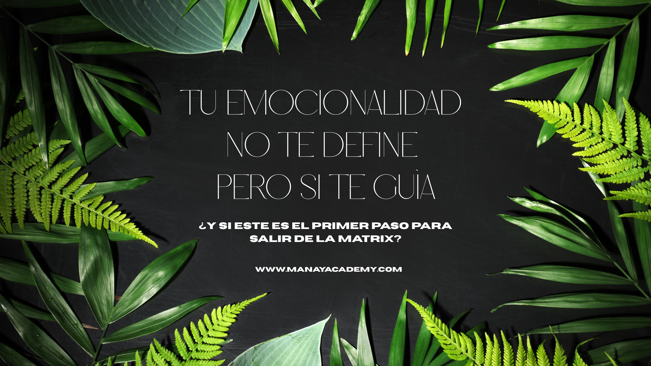 Módulo 2: INTENSAMENTE