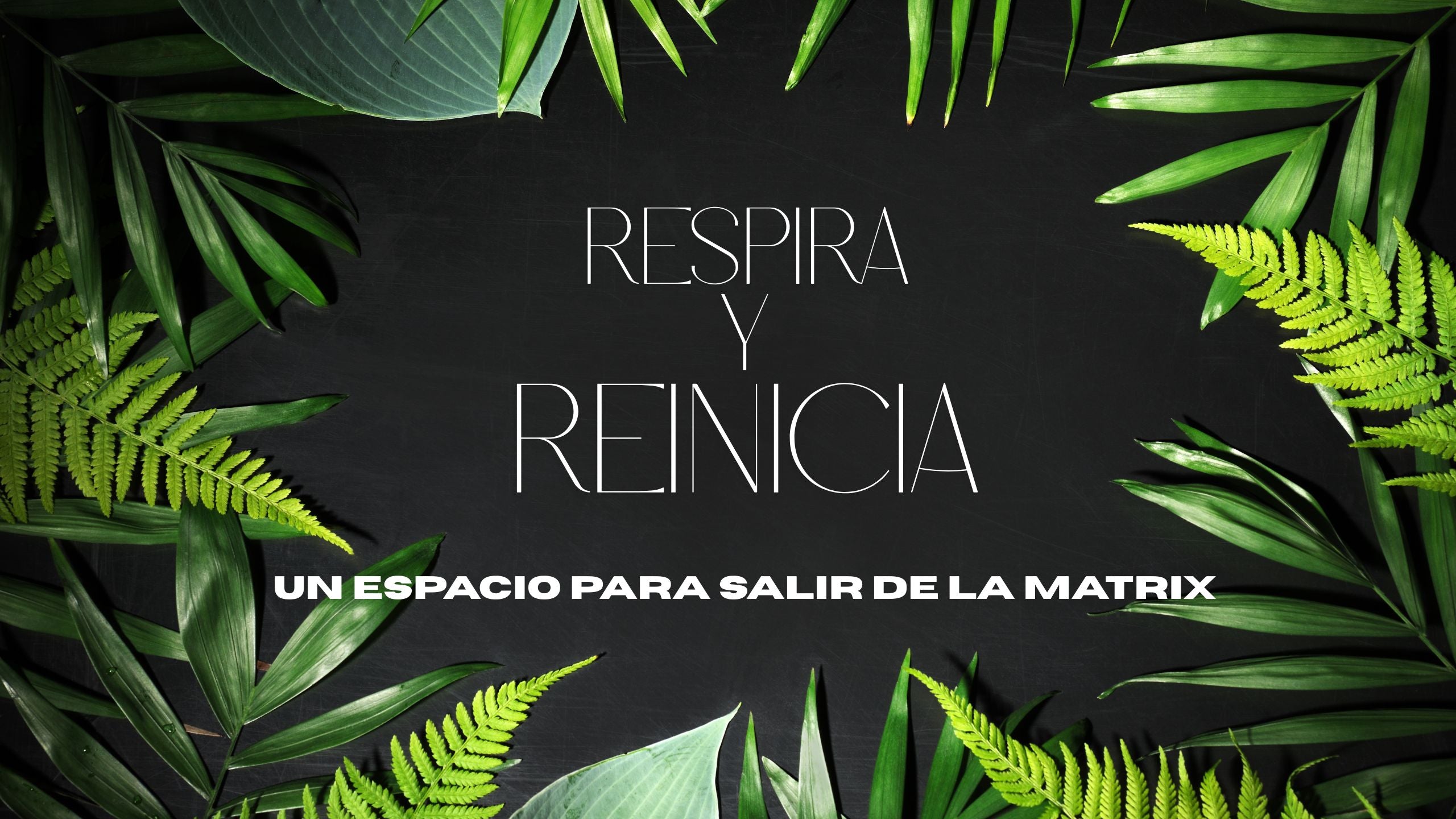 Módulo 5: ARMONÍA EMOCIONAL Y MENTAL