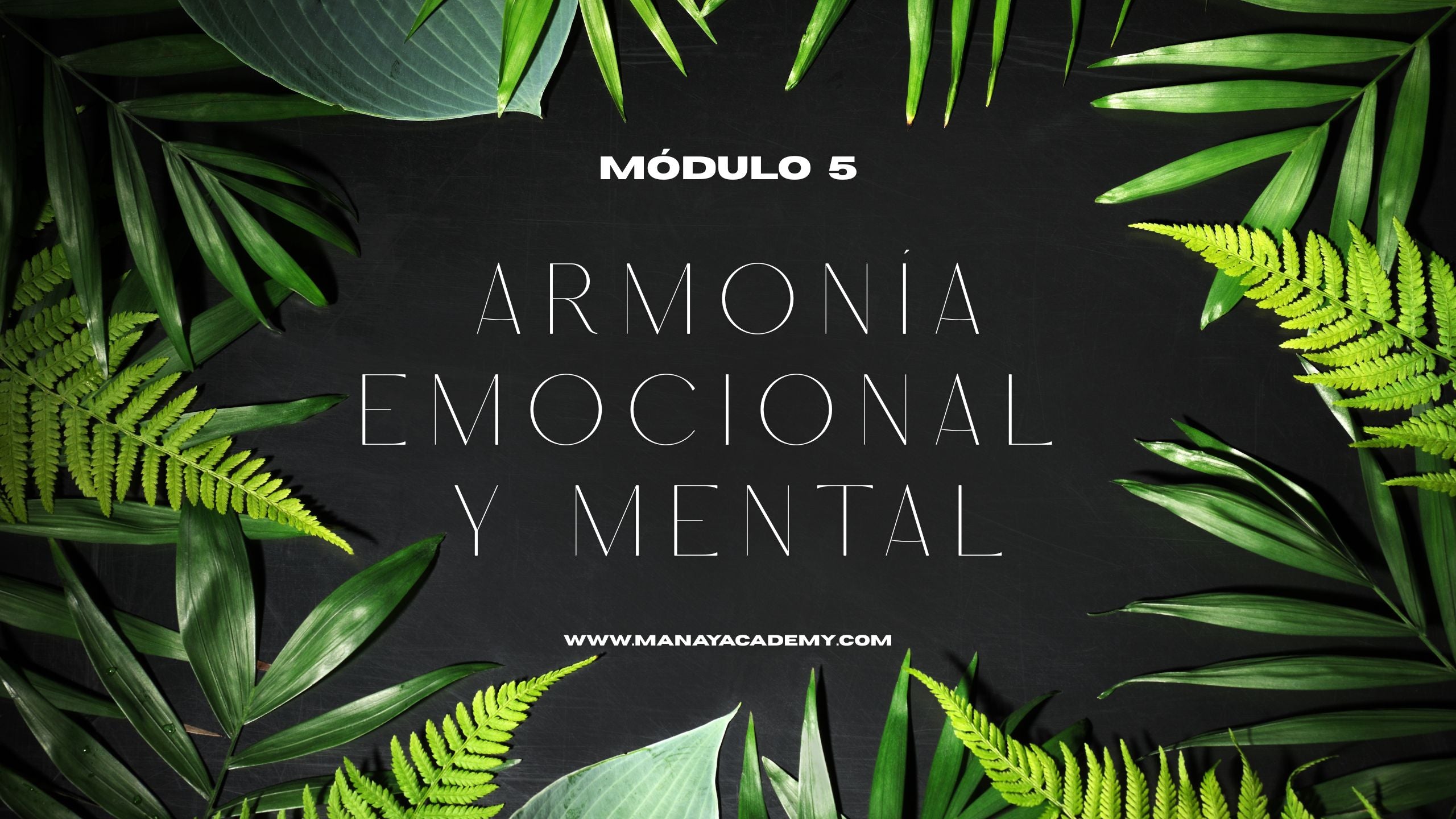 Módulo 5: ARMONÍA EMOCIONAL Y MENTAL