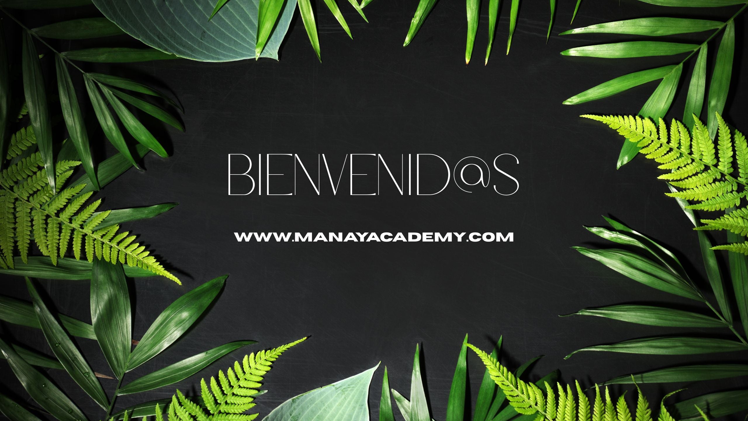 Módulo 5: ARMONÍA EMOCIONAL Y MENTAL