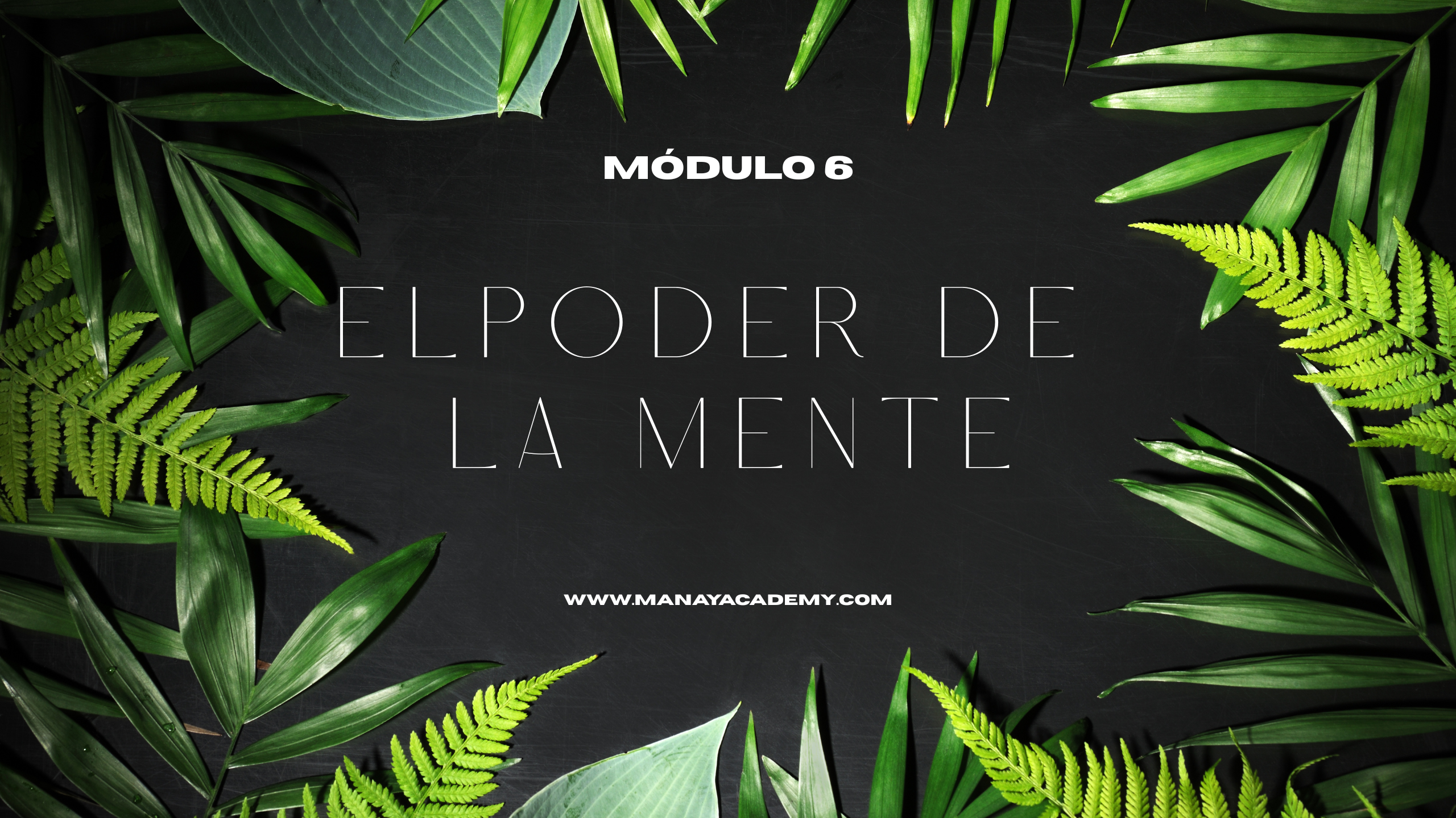 Módulo 6: EL PODER DE LA MENTE