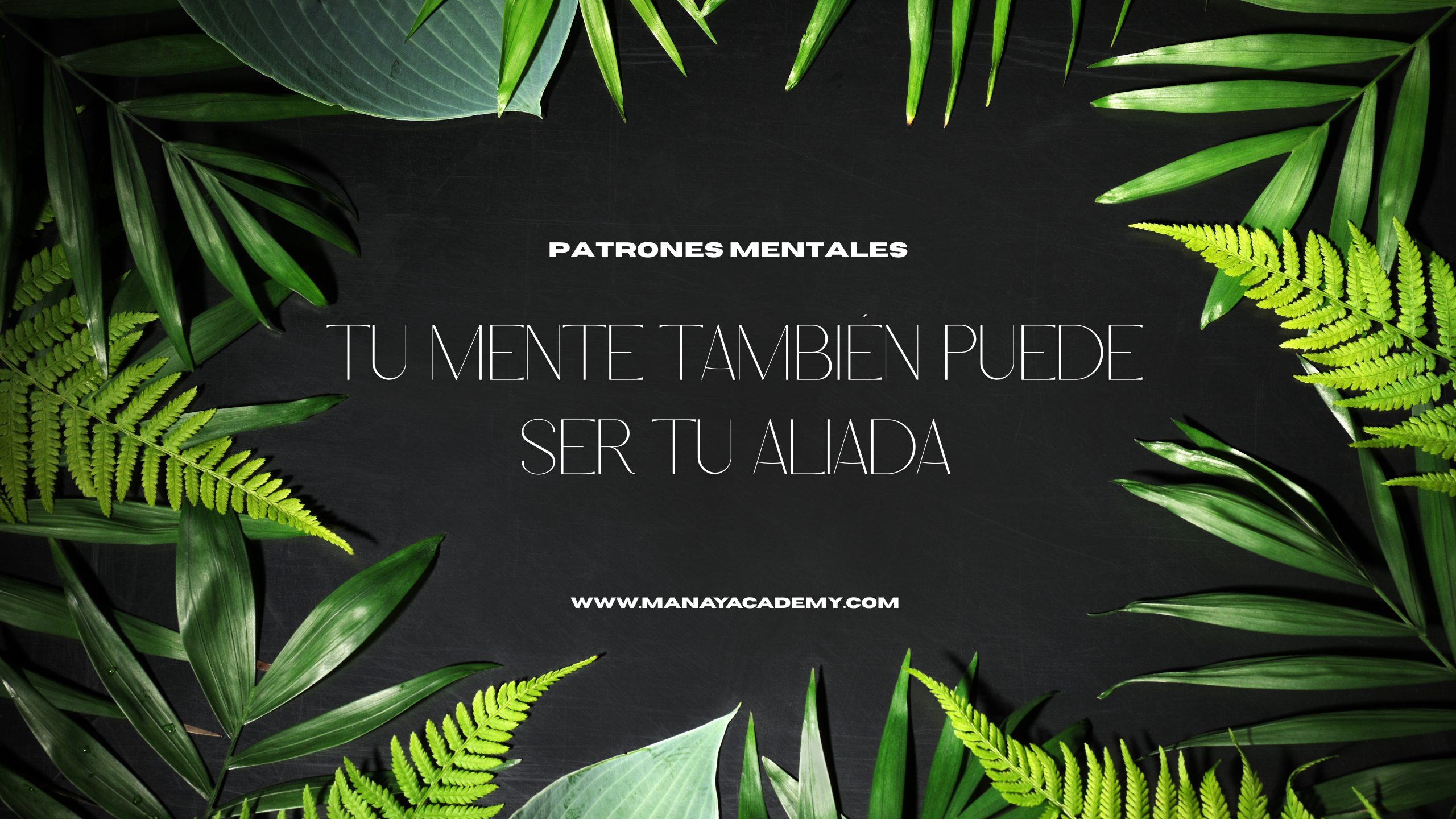 Módulo 6: EL PODER DE LA MENTE